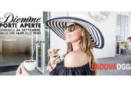 Diemme-porte-aperte--arte,-storia-ed-evoluzione-del-caffè