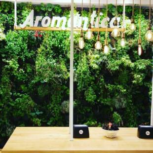 Parete Aromatica – Stammibene Bari