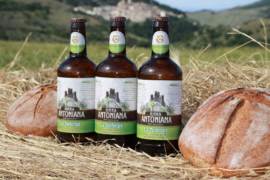 La Torlonga_Birra Antoniana