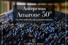 anteprima-amarone-50