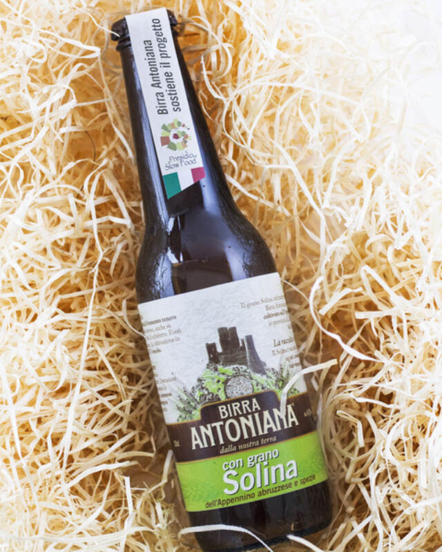 Birra Antoniana con grano Solina