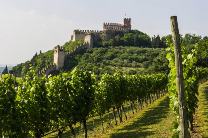 Borgo Rocca Sveva e vigne di Cantina di Soave