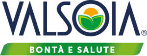 logo Valsoia S.p.A.