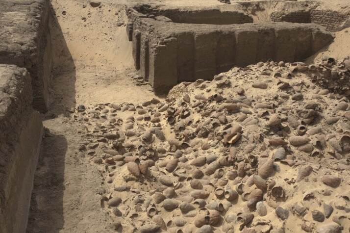 Particolare del deposito mostrato nella foto a sinistra. Foto di Robert Fletcher per Abydos Archaeology ©