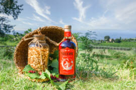 Americano Rosso di Liquori delle Sirene