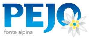 logo Idropejo S.r.l. (Cogolo di Pejo)