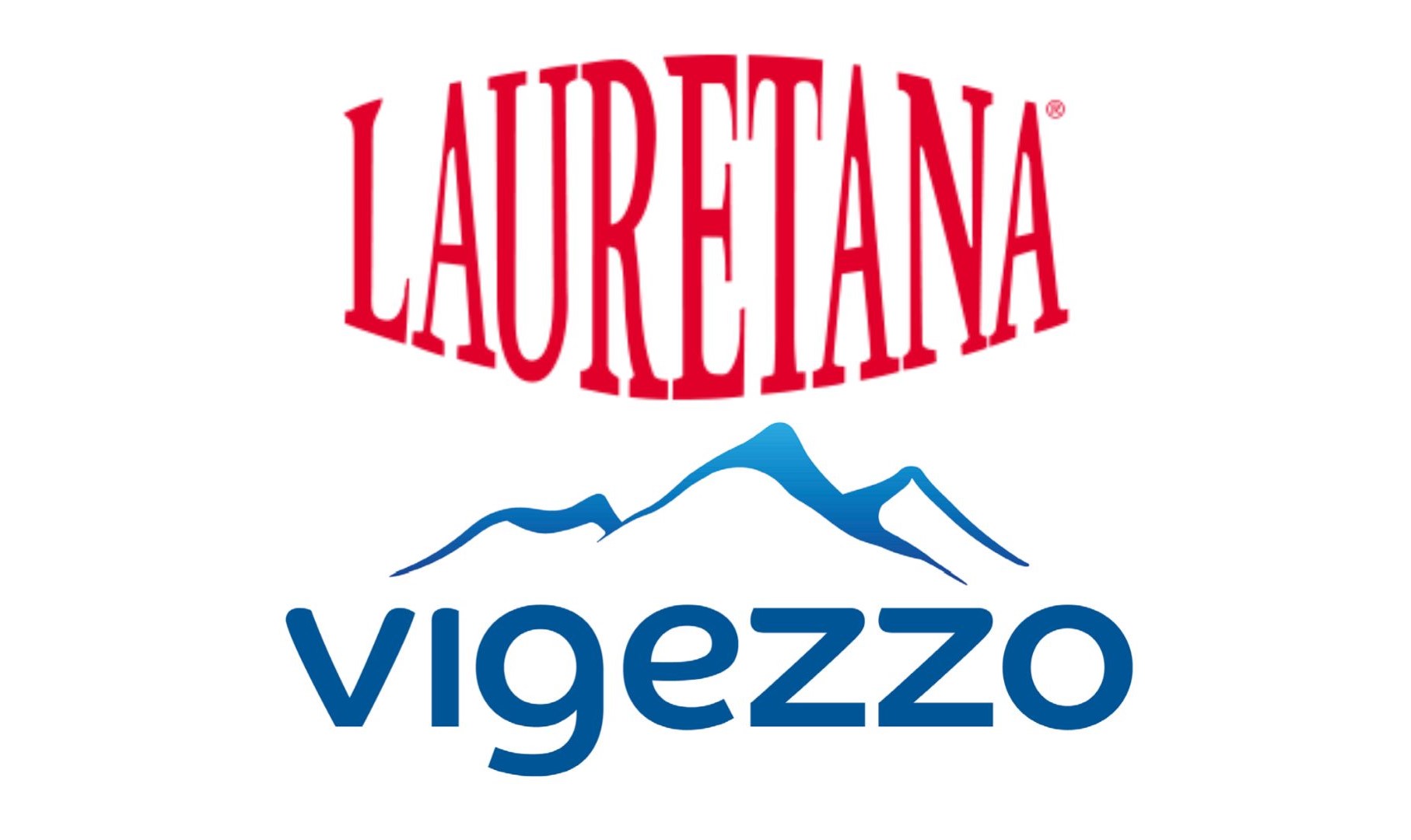 Vigezzo S.r.l. Logo/Marchio