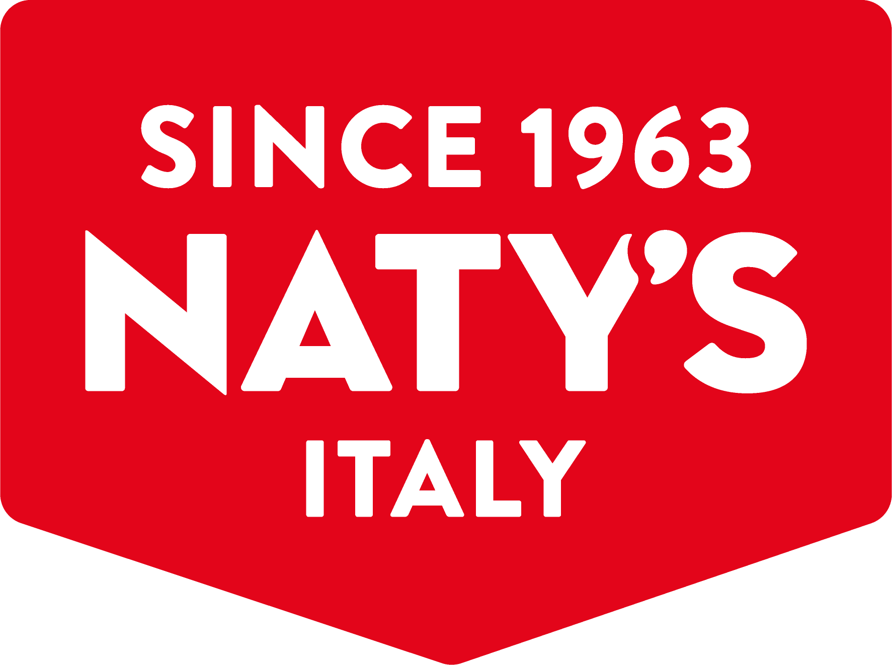 Natys S.r.l. Logo/Marchio