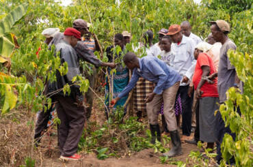 Foto: Climate Academy Fairtrade, Kenya