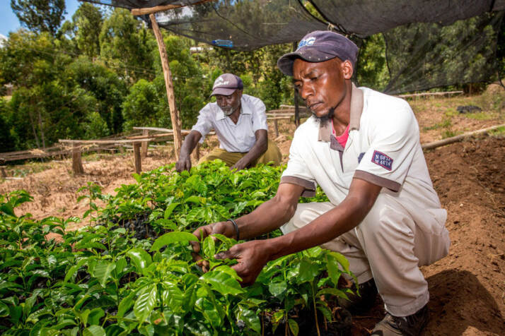 Foto: Climate Academy Fairtrade, Kenya
