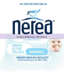logo Nerea S.p.A.