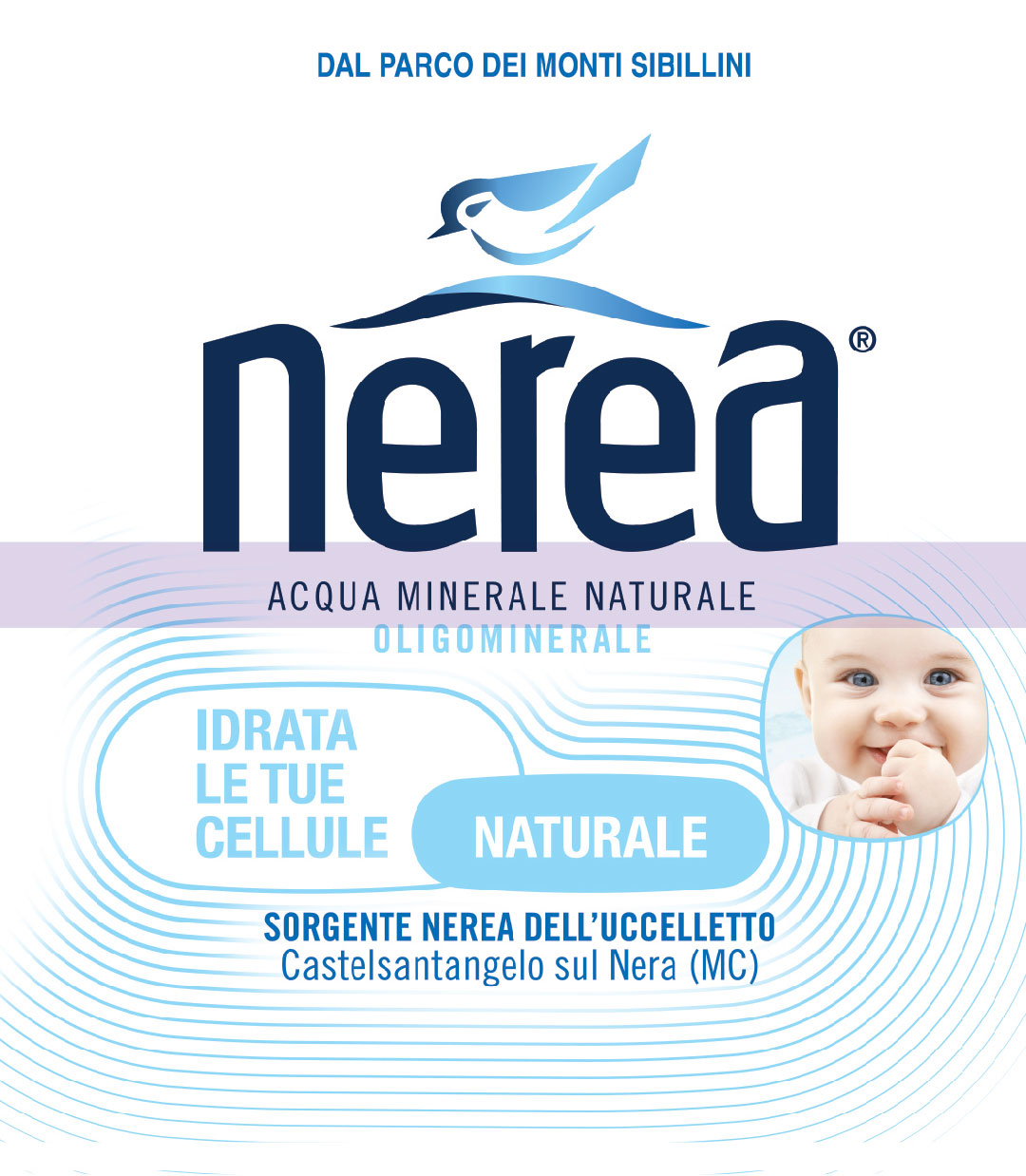 Nerea S.p.A. Logo/Marchio