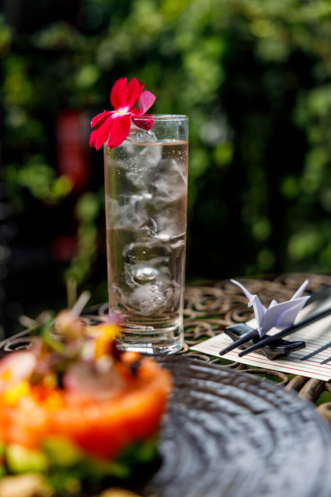 Hotel Butterfly - Tartare di salmone