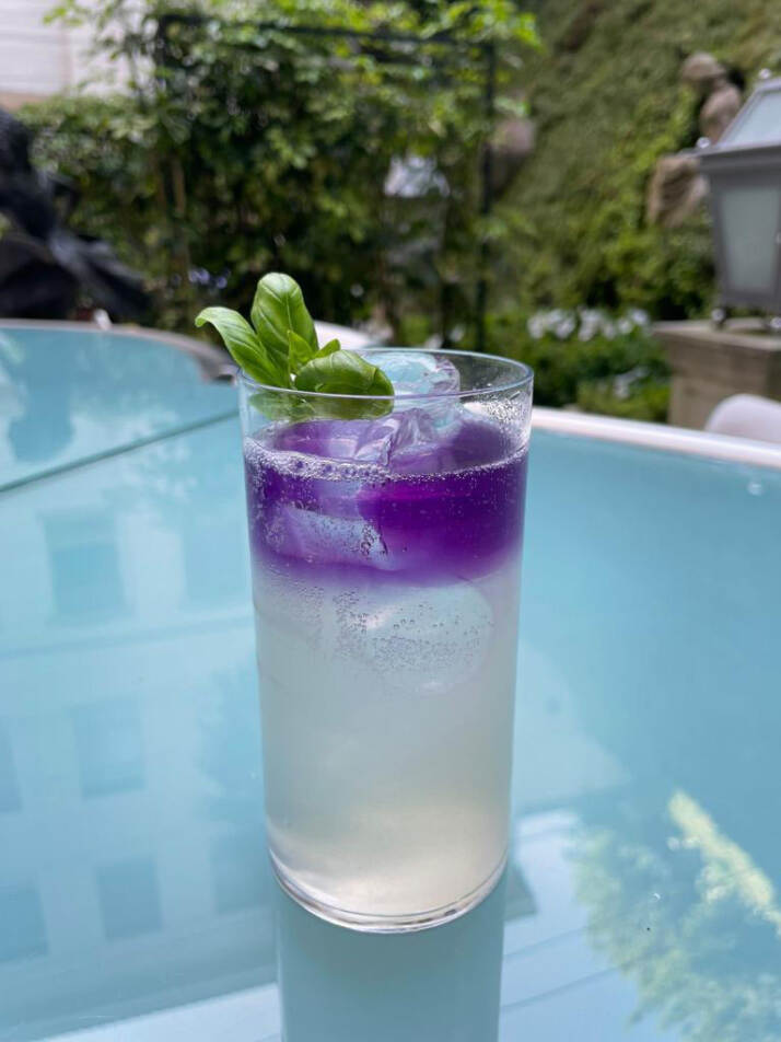 Purple Gin - Hotel Hessler