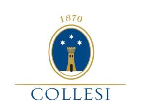 logo Fabbrica della Birra Tenute Collesi Srl