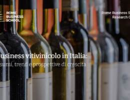 Ricerca RBS 2023, il business vitivinicolo in Italia: consumi, trend e prospettive di crescita