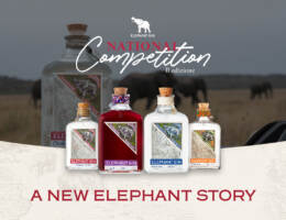 Elephant Gin National Competition: la gara di bartending promossa dal gin ispirato all’Africa