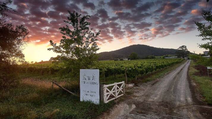 Yarra Yering vigneti