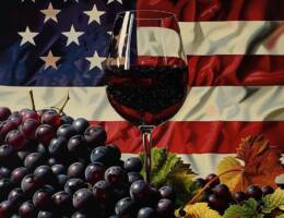 IWSR: le tendenze chiave del mercato del vino statunitense nel 2024