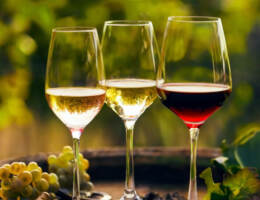 Circana-Vinitaly: i vini più venduti e quelli emergenti nella Grande Distribuzione in Italia nel 2023