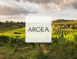 Il gruppo vinicolo Argea chiude il 2023 con un fatturato di 449 Mio€ di cui l’80% nel canale off trade