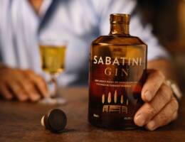 Sabatini Gin conquista tre medaglie alla London Spirits Competition 2024