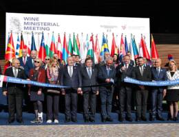 Strategie e sostenibilità del futuro nella prima Conferenza Internazionale del vino