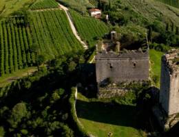 Collis Veneto Wine Group integra la Cantina di Monteforte e rafforza la Doc Soave