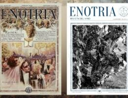 UIV rilancia Enotria: la storica rivista del vino con un nuovo progetto editoriale