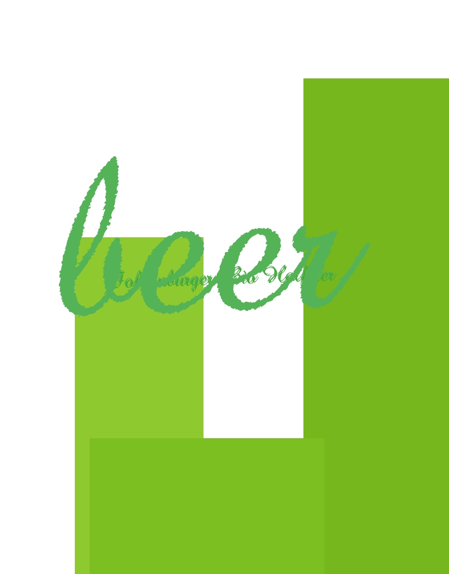 immagine Fohrenburger Bio Holfbier