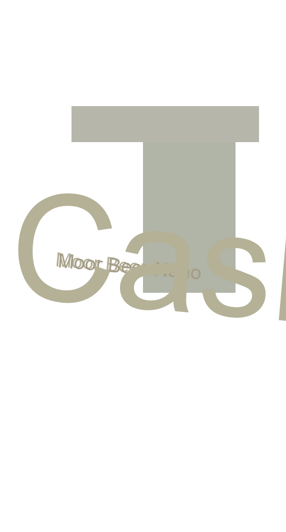 immagine Moor Beer Nano Cask