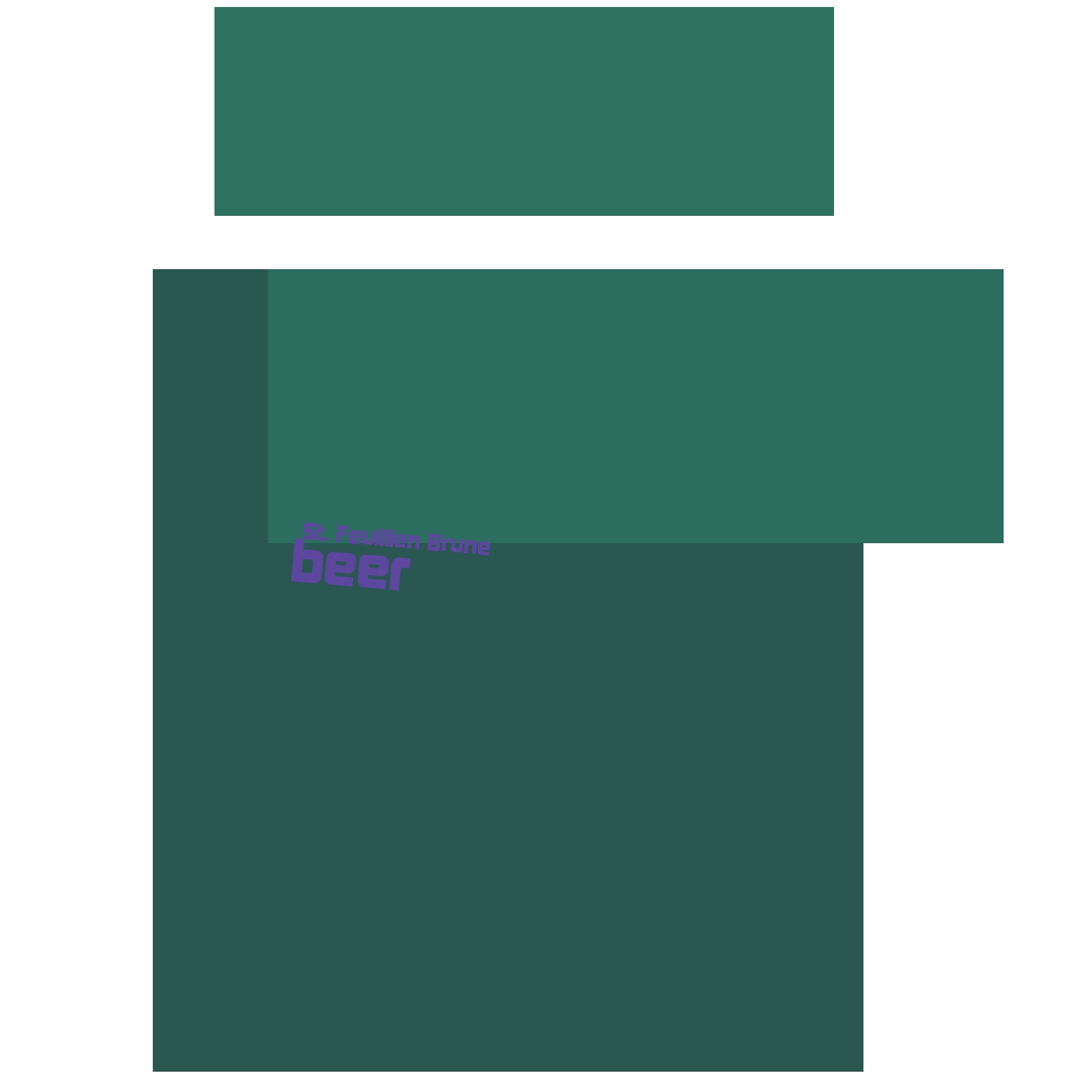 immagine St. Feuillien Brune