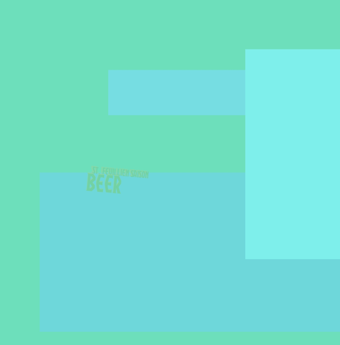 immagine St. Feuillien Saison