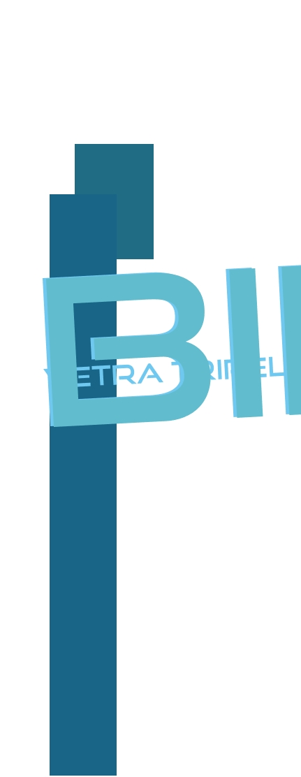 immagine Vetra Tripel 6