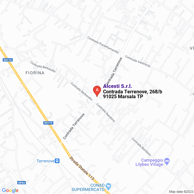 apri la mappa di Alcesti S.r.l.