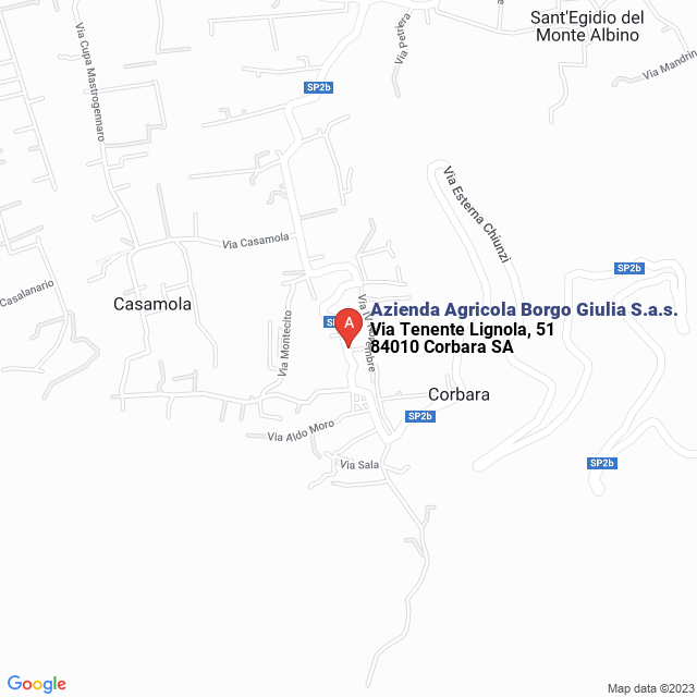 apri la mappa di Azienda Agricola Borgo Giulia S.a.s.