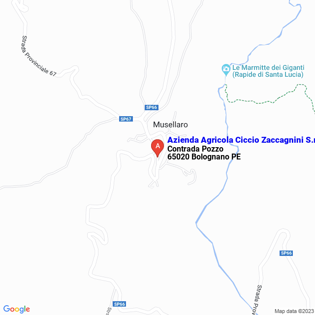 apri la mappa di Azienda Agricola Ciccio Zaccagnini S.r.l.