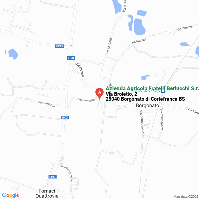 apri la mappa di Azienda Agricola Fratelli Berlucchi S.r.l.