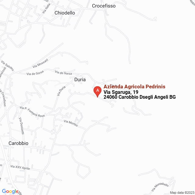 apri la mappa di Azienda Agricola Pedrinis