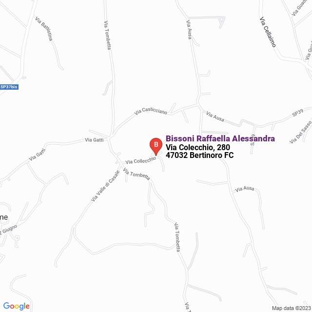 apri la mappa di Bissoni Raffaella Alessandra