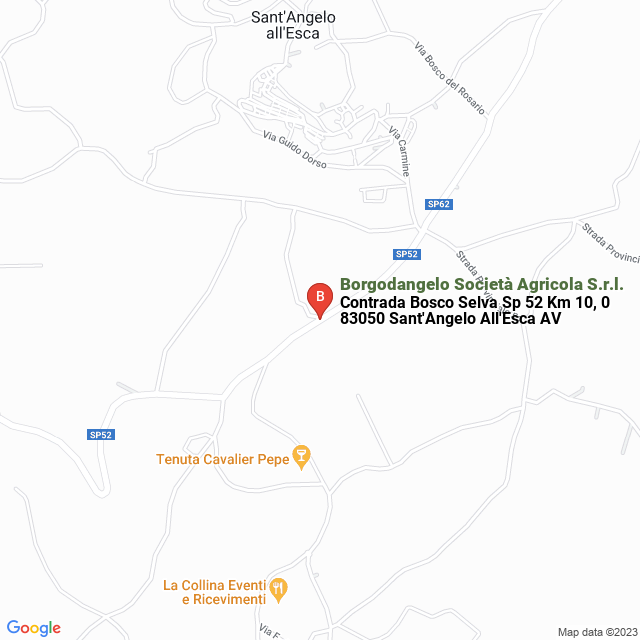 apri la mappa di Borgodangelo Società Agricola S.r.l.