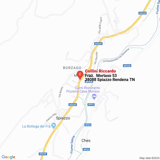 apri la mappa di Collini Riccardo