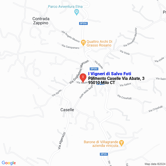 apri la mappa di I Vigneri di Salvo Foti