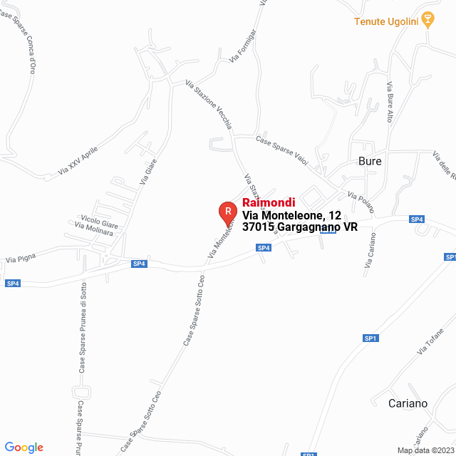 apri la mappa di Raimondi