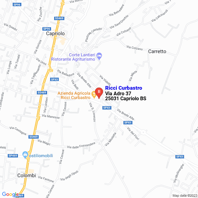 apri la mappa di Ricci Curbastro