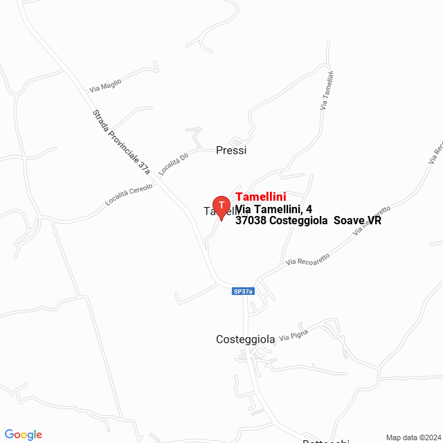 apri la mappa di Tamellini