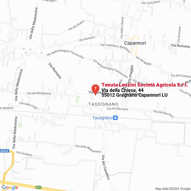 apri la mappa di Tenuta Lenzini Società Agricola S.r.l.