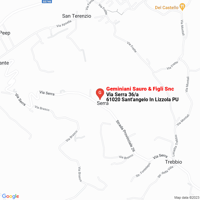 apri la mappa di Geminiani Sauro & Figli Snc