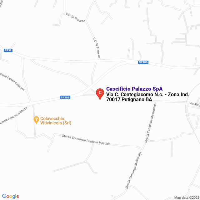 apri la mappa di Caseificio Palazzo SpA