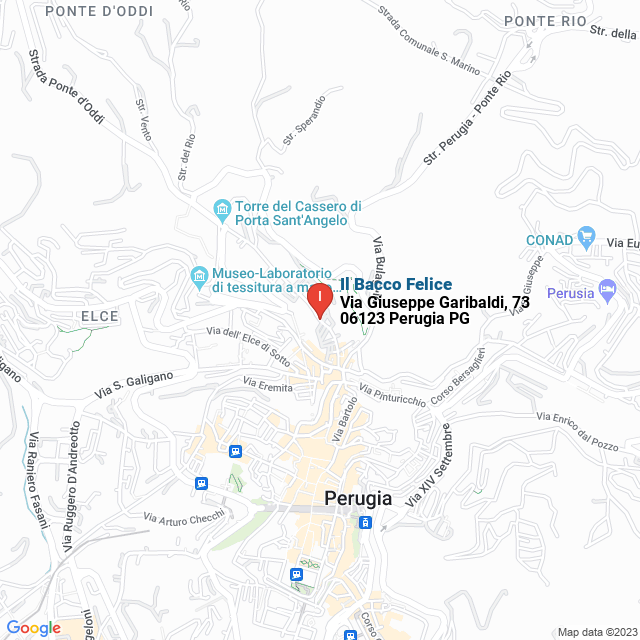 apri la mappa di Il Bacco Felice